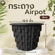 รุ่นใหม่ Airpot กระถางปลูกสายเขียว กระถางเร่งราก สีดำ ขนาด 12.5 นิ้ว