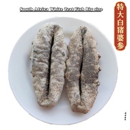 特大白猪婆参，南非猪婆参，south africa white teat sand fish，肉厚Q弹，闷海参，新年佳肴，dry sea cucumber, thickness sea cucumbe