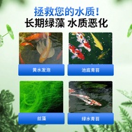 Algae Remover Moss Remover Moss Water Algae Removal Nourishing Water Removal Green Water Brown Algae