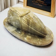 Large Corn Carving Made From Real Honey Jade Stone Enhances Feng Shui. Beautiful Work Size 18x13x12 