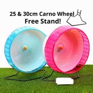 CARNO 25cm Hamster Wheel Big Silent Running Syrian Hamster Recommended Size Hamster's Grocery