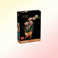 LEGO | ของเล่นสร้างอาคารประดับดอกไม้