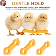 EEM Chick Leg Stabilizer Baby Birds Splay Legs Correction Band Newborn Chicken Leg Hobble Brace Supp