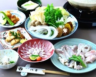 Japan・Osaka｜Japanese Cuisine Hachiko｜Fugu Cuisine & Wagyu Shabu Shabu