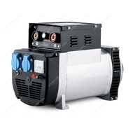 2000W 5500kw DC12V 8.3A Synchronous Portable Generator AC Generator for Generator Components
