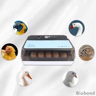 Mesin Inkubator Penetas Telur Puyuh Dengan Kontrol Suhu