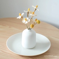 Small Plant Real Flower Bedroom Fresh ins Ornaments Home Decoration Bouquet Desktop Immortal Air Dri