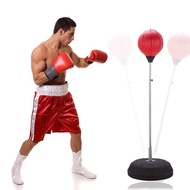 Boxing reflex ball, self-standing reflex training ball (Gloves INCLUDED)