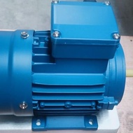 Electric Motor / Motor 4P 0.12Hp 0.09Kw B3 3Phase