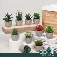 Artificial Mini Succulent Fake Plant With Pot Pokok Kaktus Small Pot Plant Pasu kecil Hiasan Scandinavian Decoration