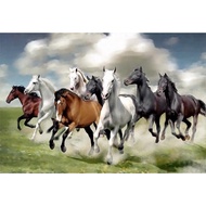 Auspicious Picture Of warhorse White Horse Size A3 12x18 Inches Without Frame A4 8 × 12 With And A5 
