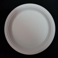 Please - 9" Plate Plastic Plate