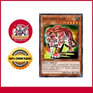 [Genuine Yugioh Card] Amazoness Tiger