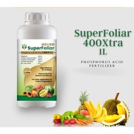 SNT Super Foliar Phosphorus Acid 400Xtra 超级叶面肥 1L for durian tree - cancer, Phytophthora and Buah Hi