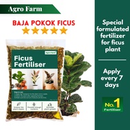 Agro Farm Ficus Fertilizer / Fiddle-Leaf Fig Fertilizer / 琴叶榕 肥料 / Baja Tumbuh