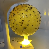 Indoor Insect Trap with USB Light Source, Strong Adhesive Bottom Sticky Trap for Flies Gnats Moths P