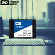 WARMNESSINN WD BLUE SSD 250GB 500GB 1TB SATA3 2.5" SSD for notebook/PC 3 years warranty, 3D NAND SAT