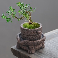Antique Style Small Stonemill Flower Pot Good Luck Comes June Snow Pot Creative Asparagus Fern Green Plant Pot Household Indoor Succulents