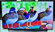 LG 48吋 48inch OledC2 EVO Oled 4K 120hz Smart TV 智能 電視