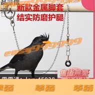 折扣~滿350出貨 新款伯勞鳥腳套鸚鵡腳環鷯哥八哥鳥腳環鸚鵡腳環護腿不傷腳鳥鍊