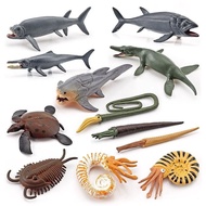 Prehistoric Ancient Biological Animal Model Ammonite Ancient Sea Turtle Leeds Fish Tyman Fish Dragon