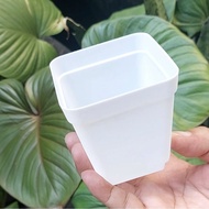 7cm WHITE SQUARE Plastic Pot, Plant Pot, Succulent Pot