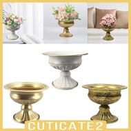 [Cuticate2] Flower Pot, Delicate Planter, Flower Holder, Plant Container, Flower Pot, Decorative Vase for Wedding, Dried Flowers, Decorative