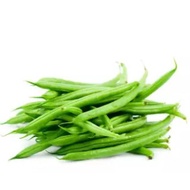 Dwarf Bush Beans *Green *seed