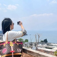 LV 限量款宮廷系列老花 neverfull中號購物袋 32*30*15 98新配件塵袋