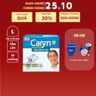 [Caryn] Caryn super absorbent pad size 60x70cm/42x72cm