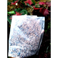 BAJA MIX BOOSTER KELADI (4 in 1) 1KG #EM4 #TANAMAN #BIJIBENIH #BUNGA #BUAH #