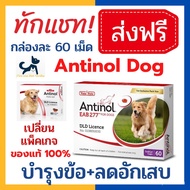 Antinol for dogs อาหารเสริม บำรุงข้อสุนัข ขนาด 60 เม็ด exp.03/2025