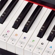 88/61/54/49/37 Keys Piano Transparent Stickers Electronic Piano Keyboard Hand Roll Piano Key Sticker