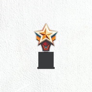 Custom Acrylic Star Trophy Champion Trophy Custom Acrylic Star Trophy