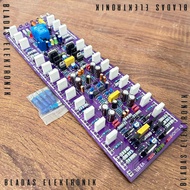 Kit Driver MCRD V3 BTL Fullbridge Inbal Protek 3U 35cm Dobel Layer
