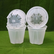 Clear Plastic Plant Pot Transparent Clear High Quality Flower/Aroid/Vege Plastic Pot Pasu Bunga Plas