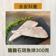 【永安科養】龍膽石斑魚排300克/入 5入組