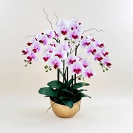 Akara Dokmaii กระถางกล้วยไม้ประดิษฐ์ขนาดใหญ่  Artificial Orchid arrangement in ceramic pot