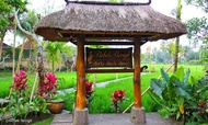Bebek Bengil Restoran Ubud Bali