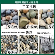 Pebble Wholesale Pebble Black Pebble Polished Water Treatment Stone White Transformer Rain Flower St
