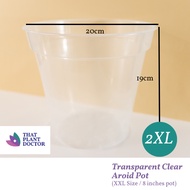 Transparent Clear Aroid Pot (XXL Size / 8 inches pot) (Diameter 20cm / Height 19cm)