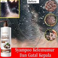 Coconut Shampoo Syampoo kelemumur ubat kepala scalp dandruff kepala psoriasis shampoo itchy scalp tr