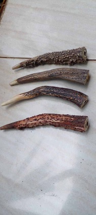 Pipa Tanduk Rusa Super Rasa Gurih Nikmat