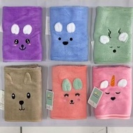 Microfiber Towel Medium Towel/ 50 x 100 cm