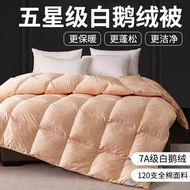 Hilton Standard Quilted White Goose Down Comforter