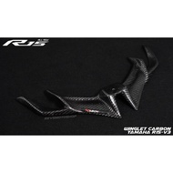YAMAHA R15V3 R15V4 R15M CARBON WINGLET R15 Accessories Motorcycle Accessories
