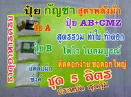 ปุ๋ยกันชา ปุ๋ยกัญ ชุด 5 ลิตร สูตรพลังม้า ปุ๋ยAB+ปุ๋ยแคลเซี่ยมแม็กซิ้งค์CMZ สูตรรวมทำใบ-ทำดอก ปุ๋ยแห้