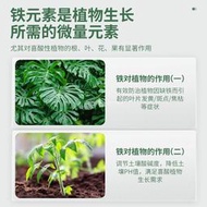 現貨花盆郁金香硫酸亞鐵花肥料梔子花杜鵑防黃葉調酸水溶肥