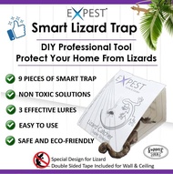 9 Pcs Lizard (Cicak) Sticky Trap / DIY Lizard Killer