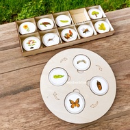 Montessori Life Cycle Plate Science Kit for Kids
